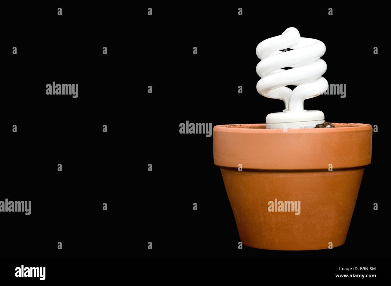 A glowing compact fluorescent bulb in a planter with space for copy on the black background Stock Photo