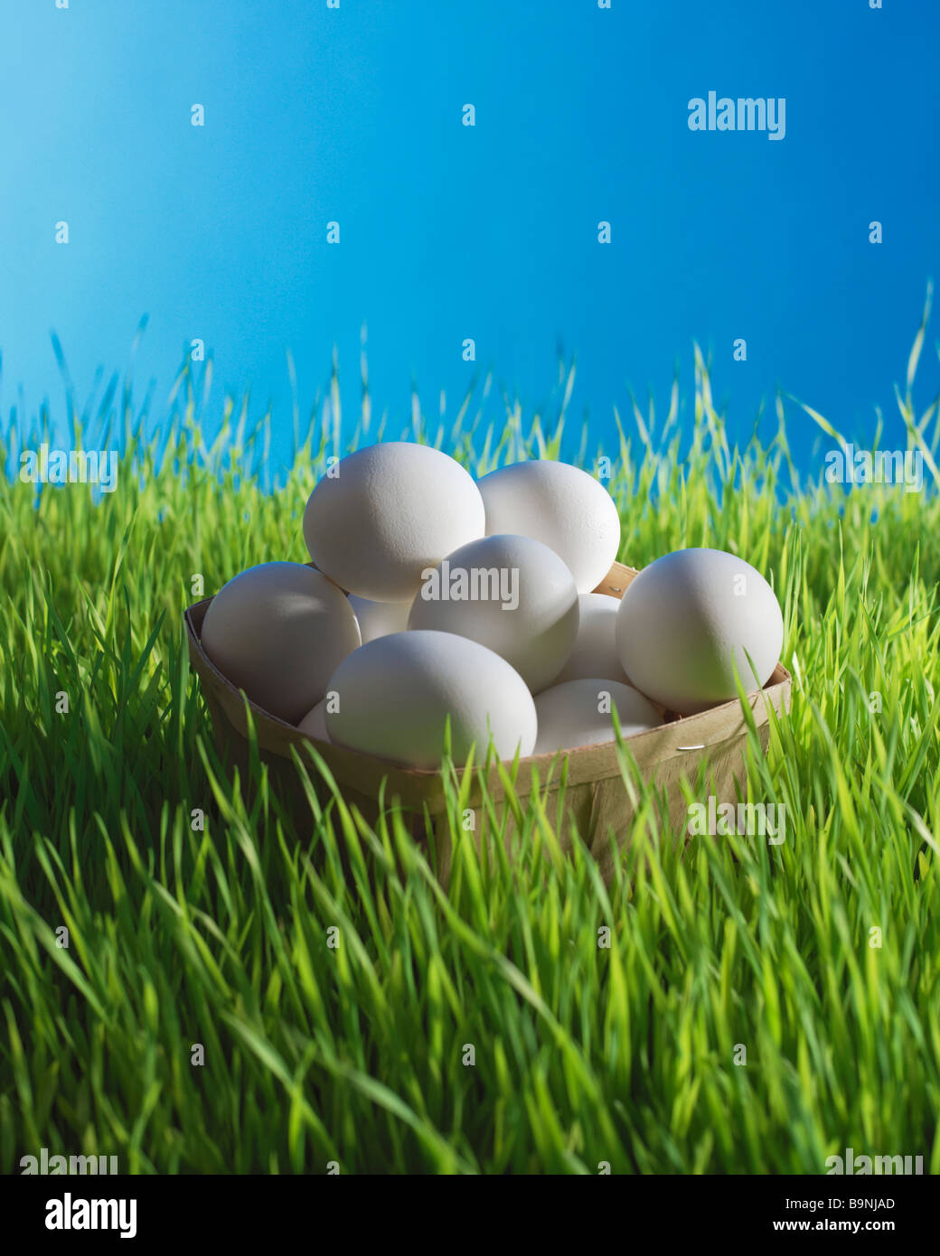 eggs in basket in the grass Stock Photo