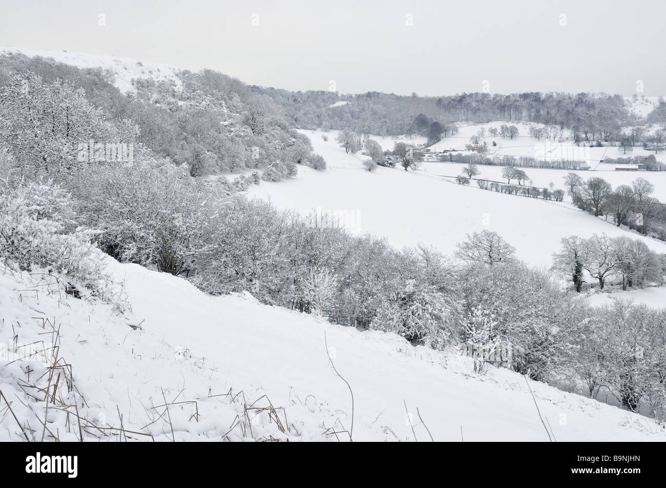 Cam Long Down and Uley Bury in Snow Stock Photo