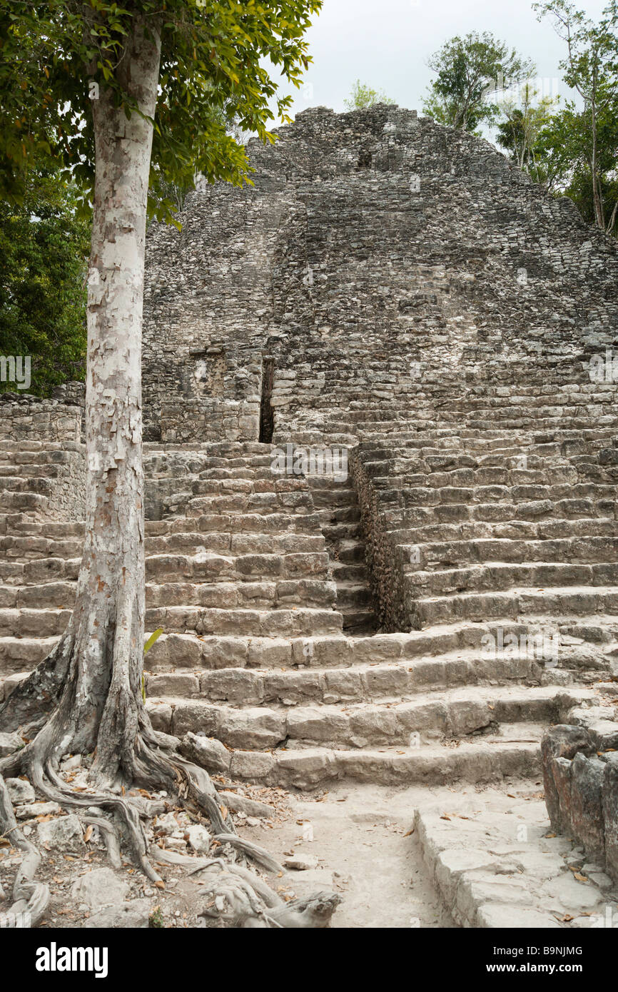 Mexico Yucatan 2009 Coba Mayan historic ruins complex the pyramid known as the Church Stock Photo