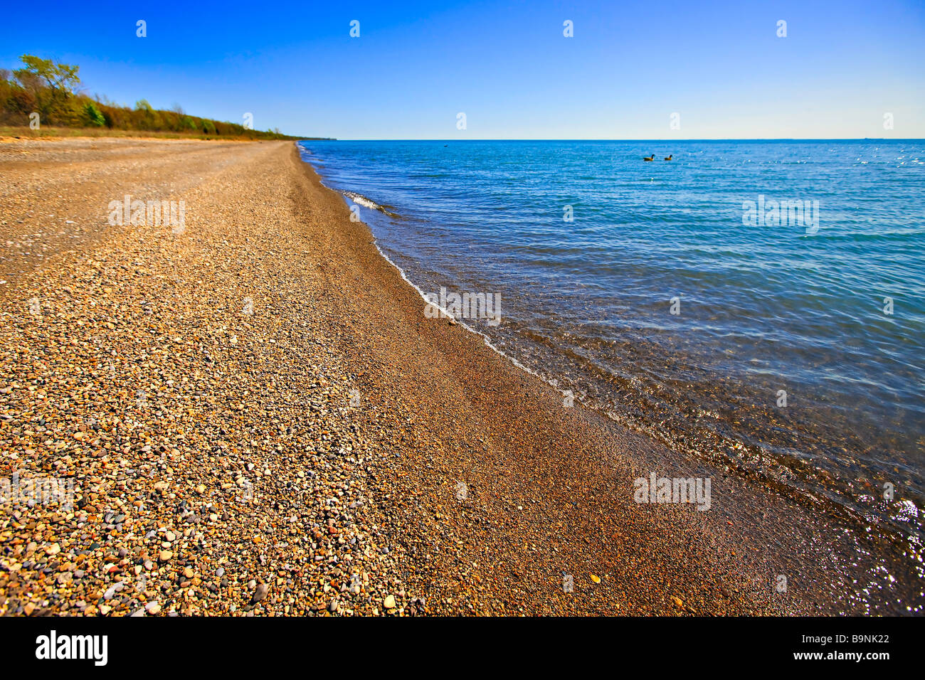 Shores of Lake Erie in Point Pelee National Park Leamington Ontario