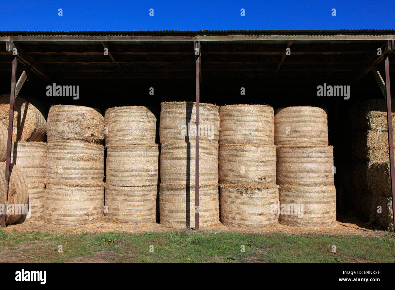 Round straw bales stacked in barn for supplementary animal feed