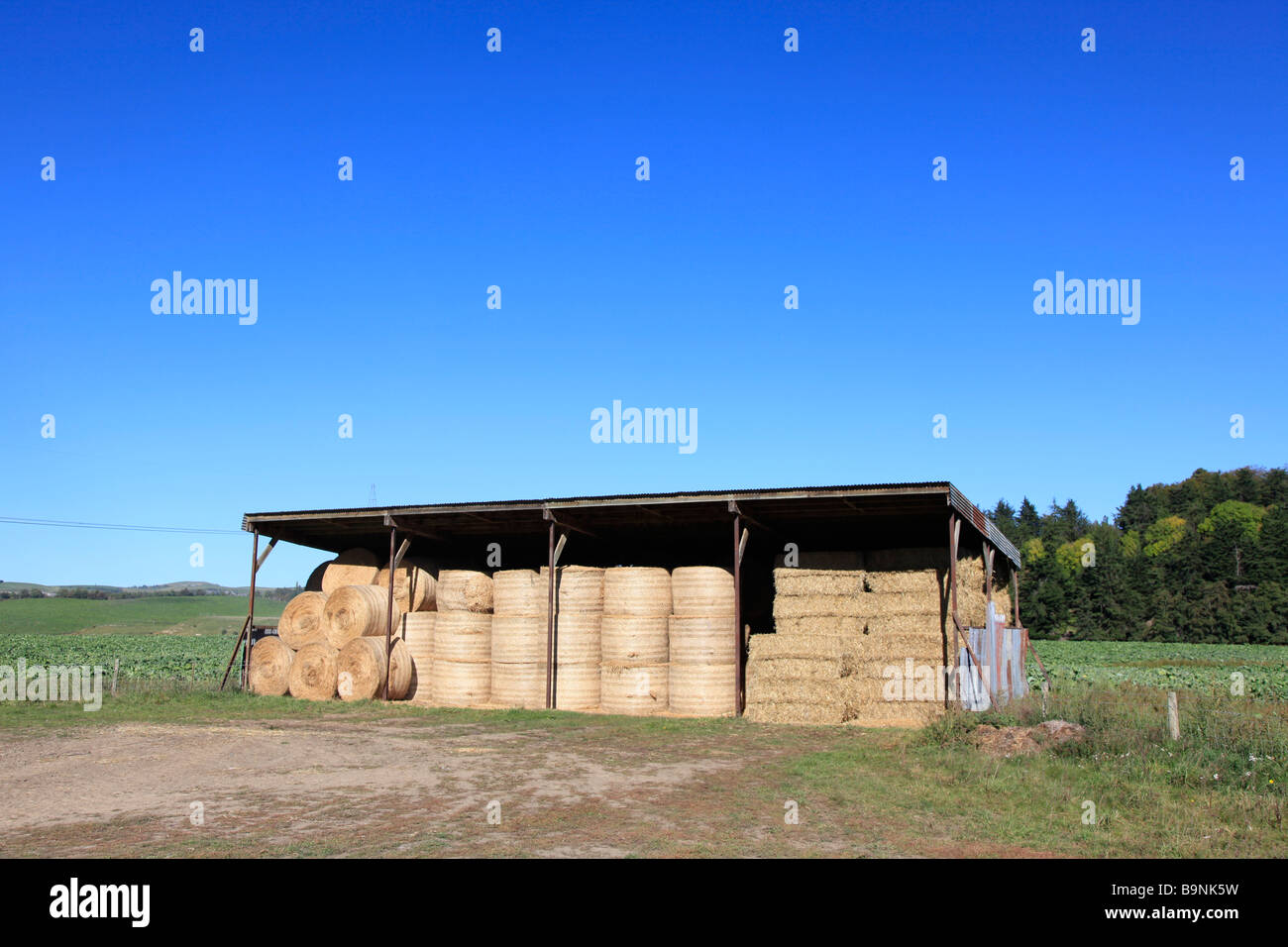 Round straw bales stacked in barn for supplementary animal feed