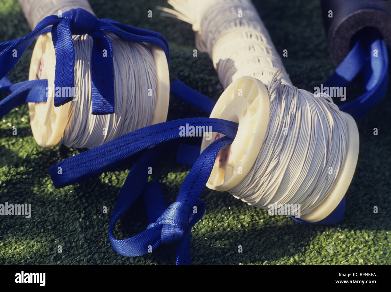 New York NY Bungee cords made up of numerous small elastic strands