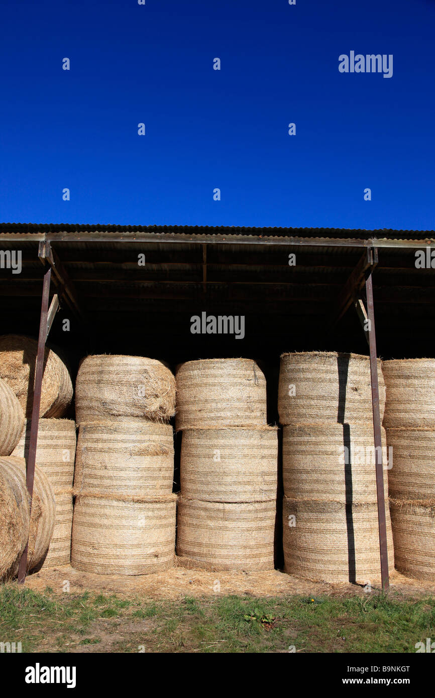 Round straw bales stacked in barn for supplementary animal feed