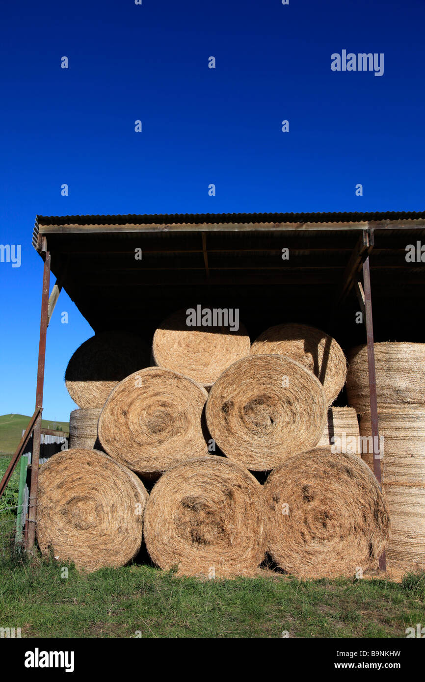 Round straw bales stacked in barn for supplementary animal feed