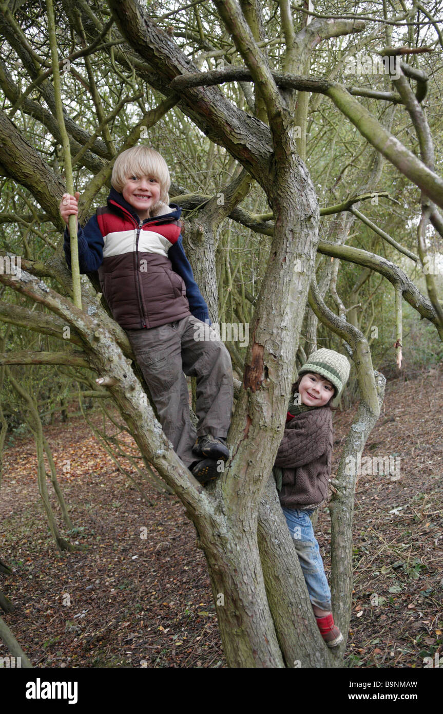 Boys climbing on tree branches Stock Photo - Alamy