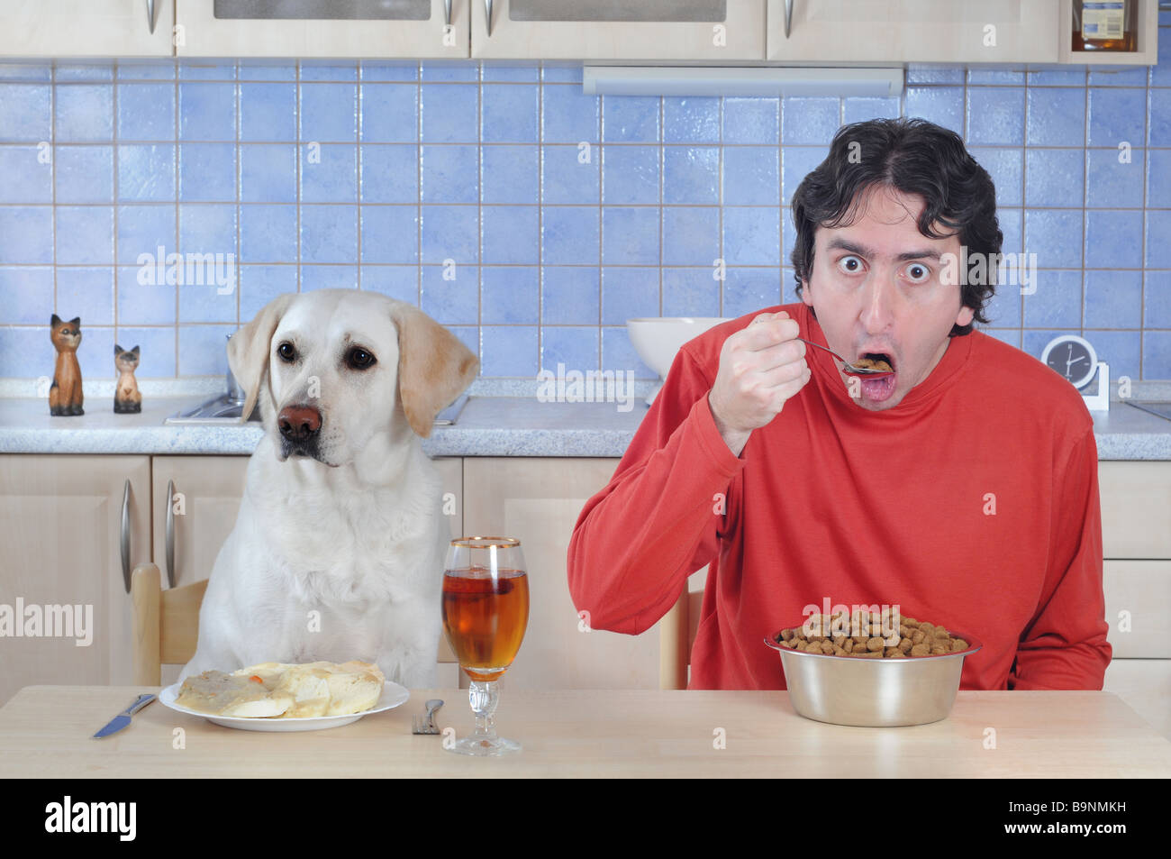 Role exchange - man and dog eating dinner. Stock Photo