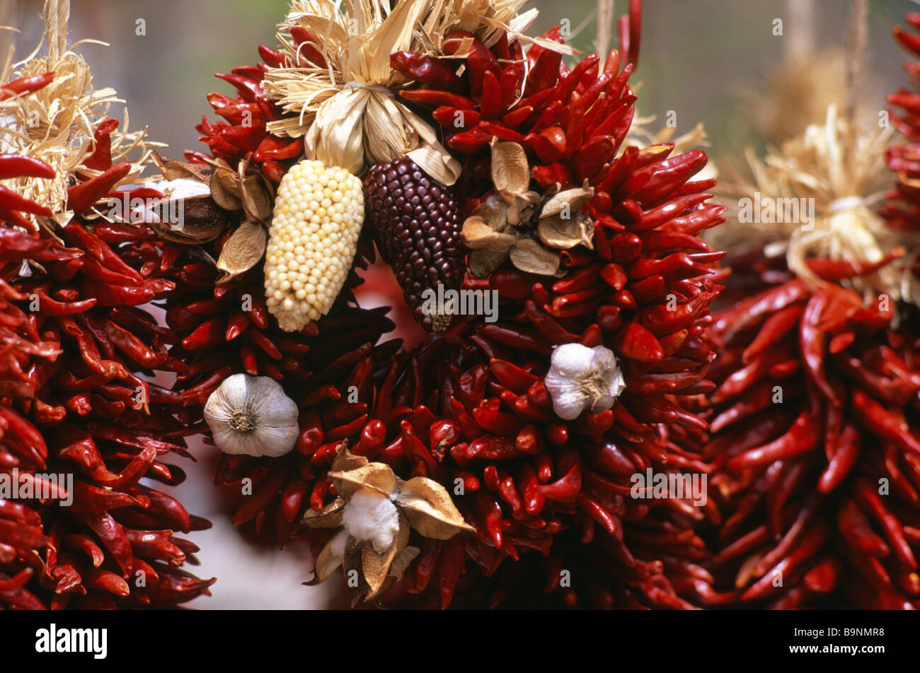 Ristras of chiles hanging in Taos New Mexico USA Stock Photo