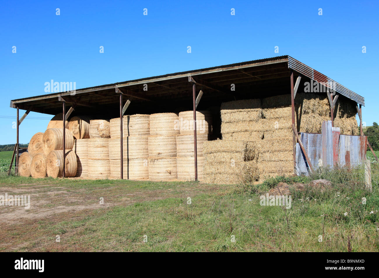 Round straw bales stacked in barn for supplementary animal feed, Canterbury,South Island,New Zealand Stock Photo