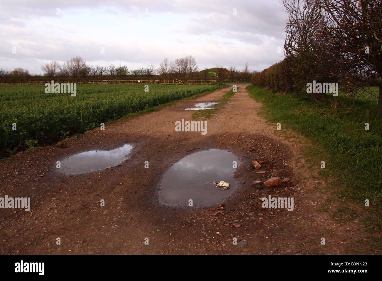 Farm track with ruts and puddles full of water Stock Photo