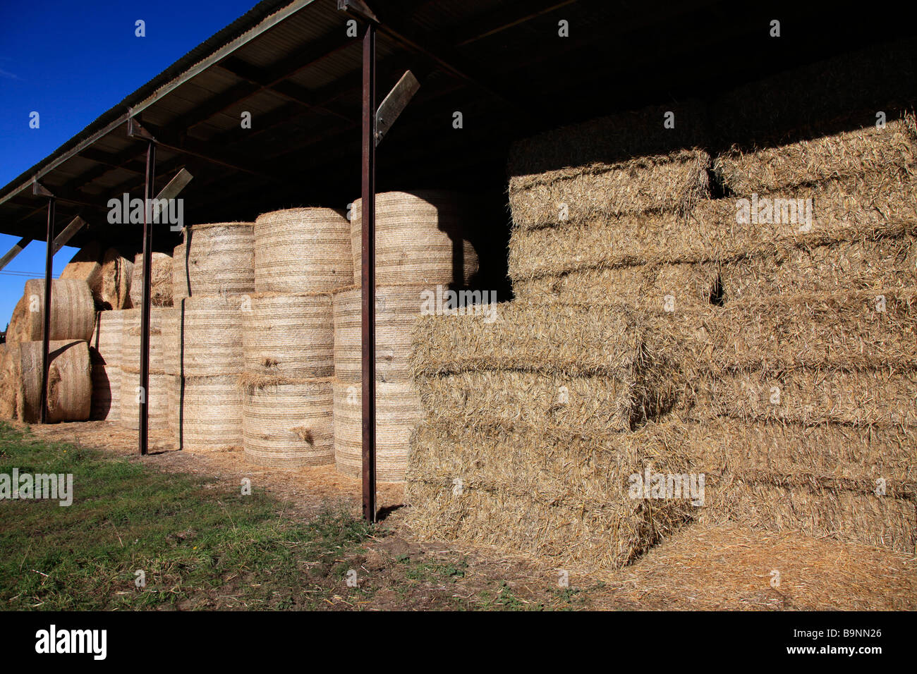 Round and rectangular straw bales stacked in barn for supplementary