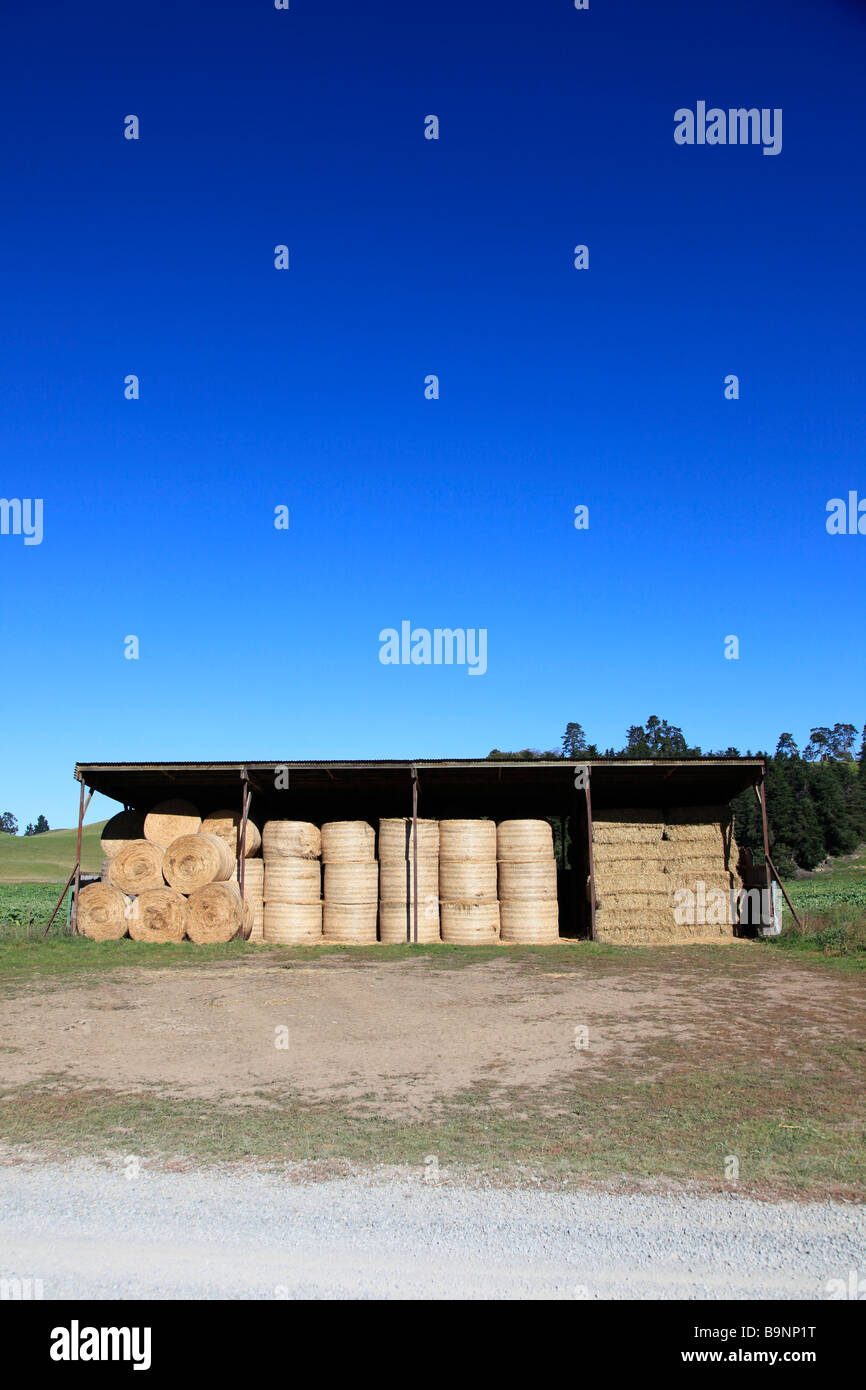 Round straw bales stacked in barn for supplementary animal feed