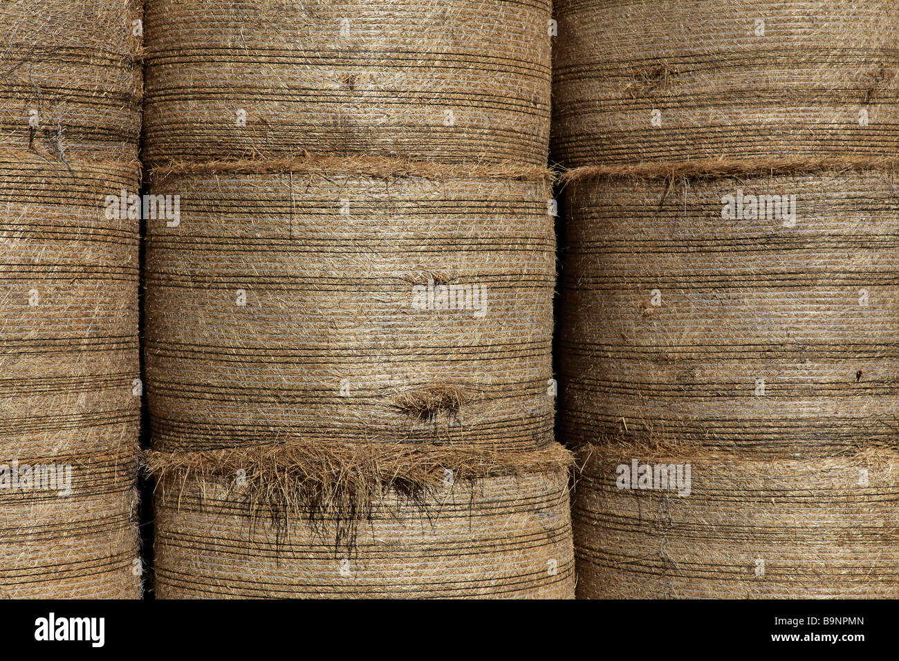Round straw bales stacked in barn for supplementary animal feed
