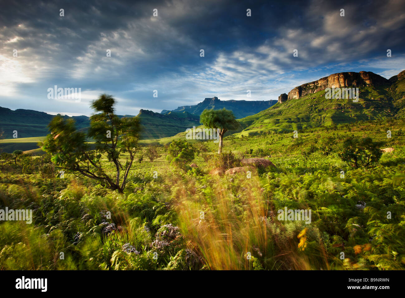 the Ampitheatre, Royal Natal National Park, Drakensberg Mountains, KwaZulu Natal, South Africa Stock Photo