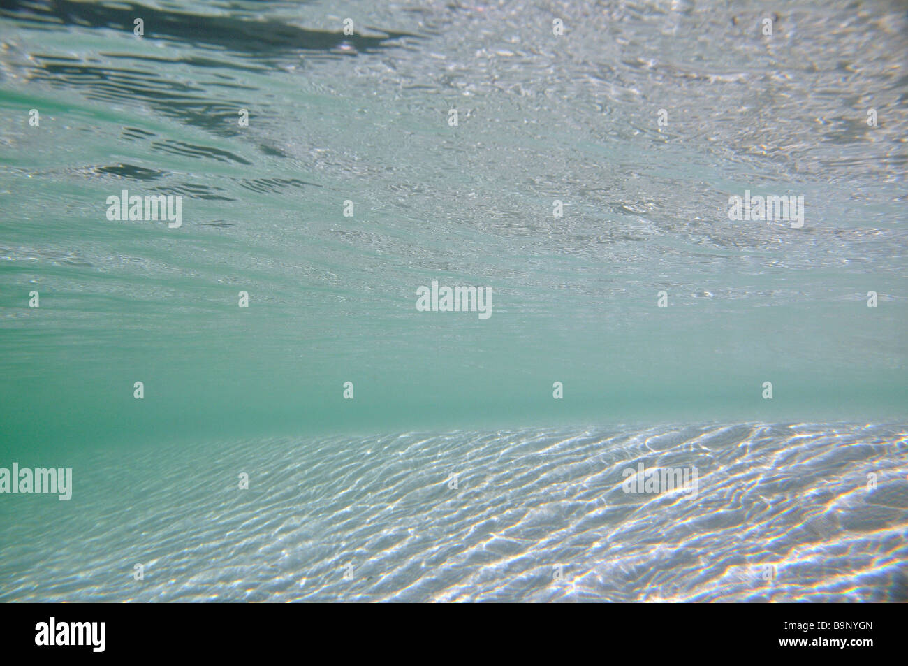 Underwater view of crystal clear water and clean beach sand at Geordie Bay on Rottnest Island , Western Australia. Stock Photo