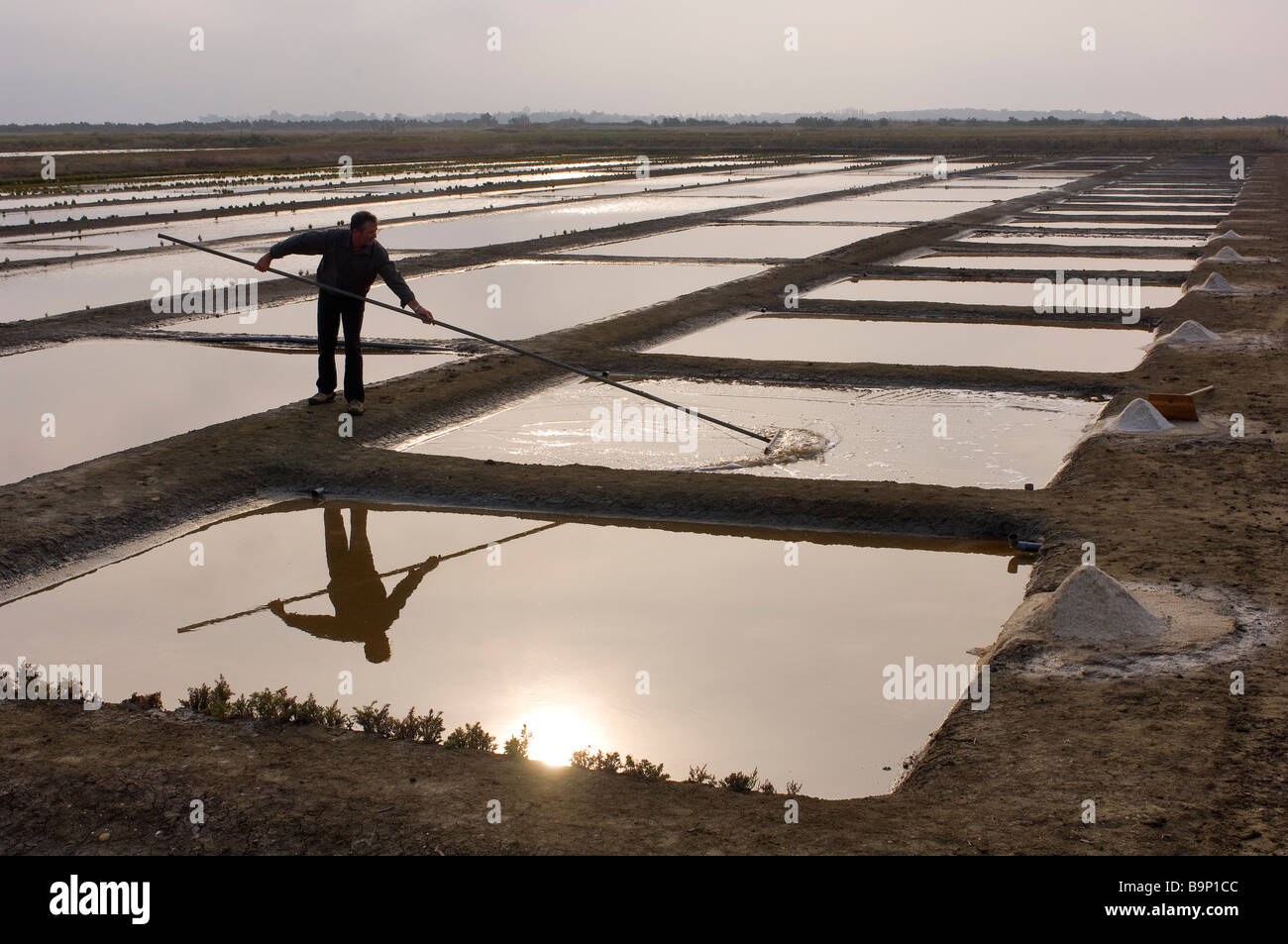 France, Charente Maritime, Ile Madame, Jean Pierre Mineau's fish farm inn, salt harvesting by a salt marsh worker Stock Photo