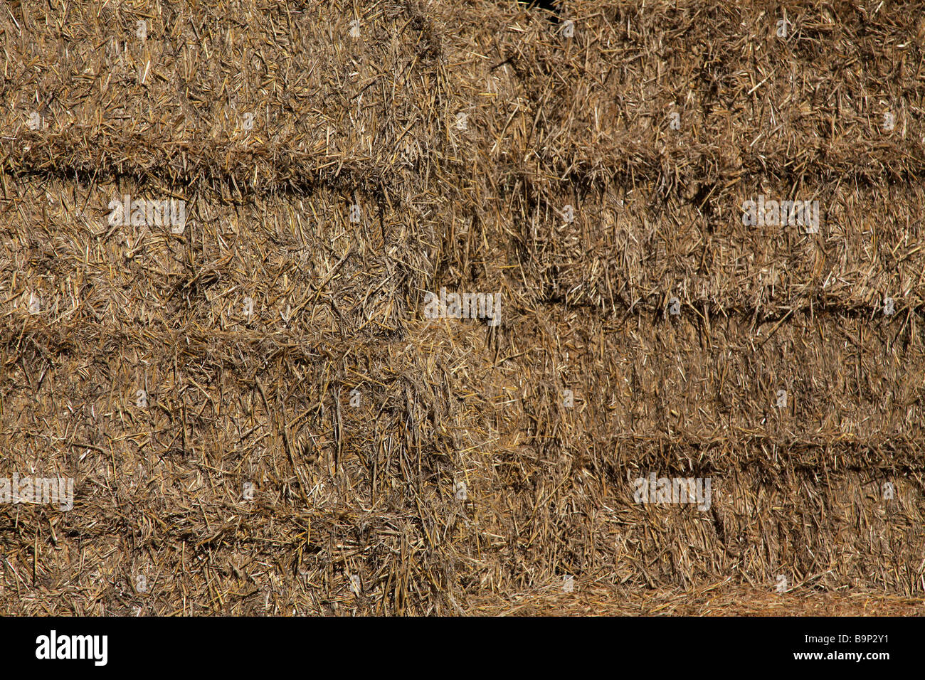 Rectangular straw bales stacked in barn for supplementary animal feed