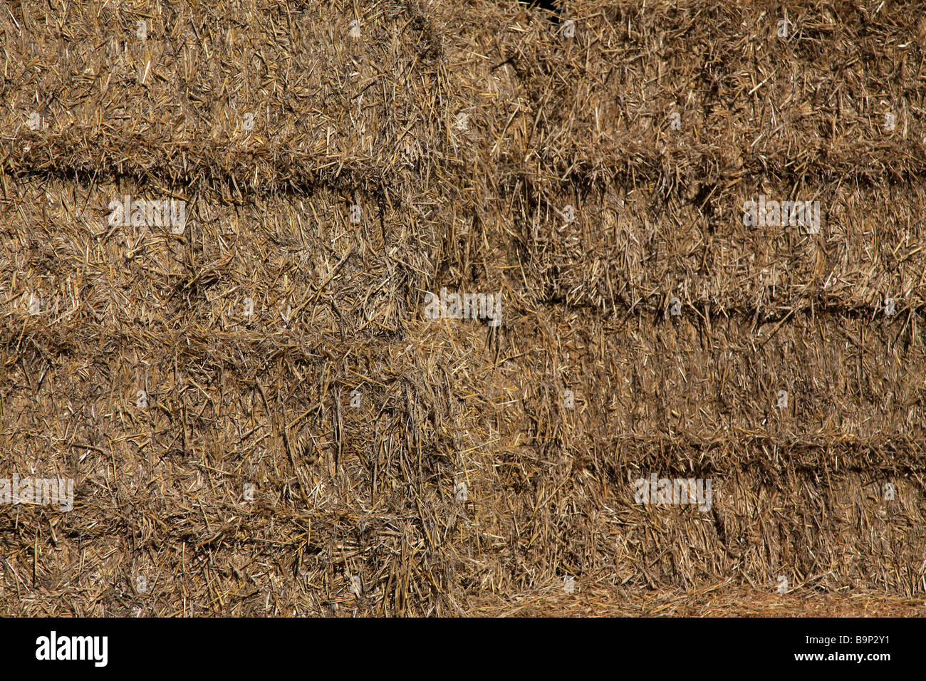 Rectangular straw bales stacked in barn for supplementary animal feed, Canterbury,South Island,New Zealand Stock Photo