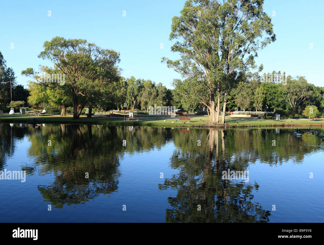 Reflections of trees in a lake Stock Photo - Alamy