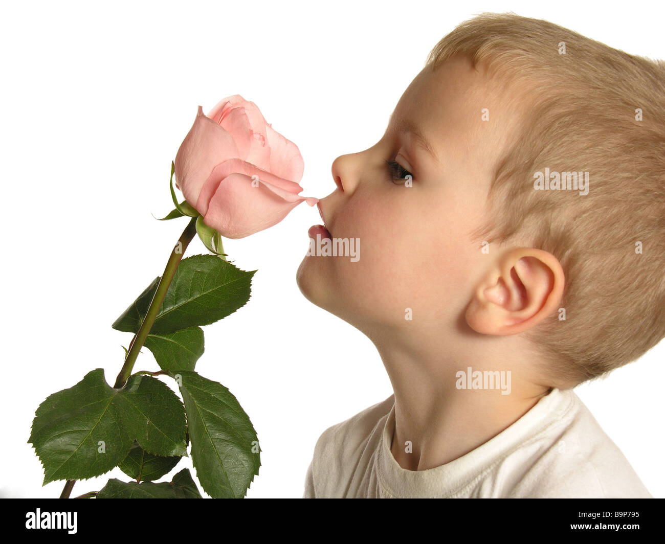 Rose Garden Boy's Short Sleeve