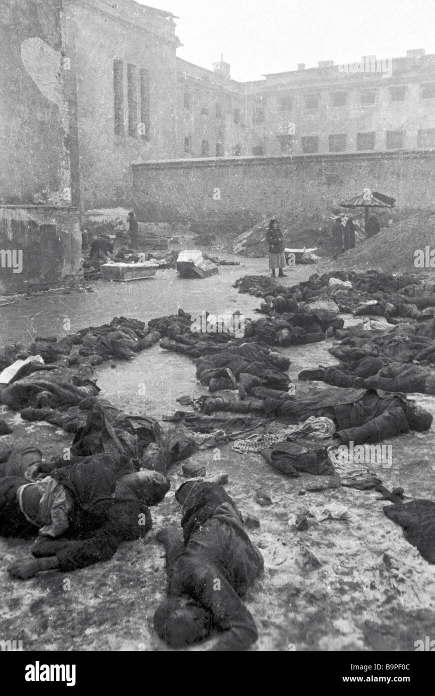 Peaceful civilians shot by fascists in a Rostov prison before their retreat from the city Stock Photo