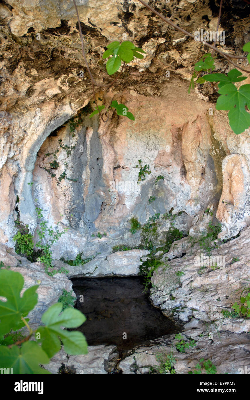 inside a small cave with a natural spring, off a Mozarabic trail, Vall de Laguart, Benimaurell, Alicante Province, Comunidad Val Stock Photo
