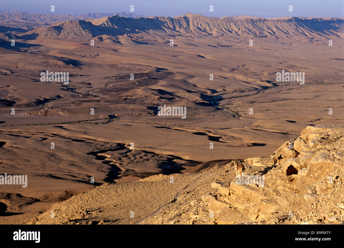 Mitzpe Ramon Israel, South district, Negev Desert, Mitzpe Ramon, Ramon nature ...