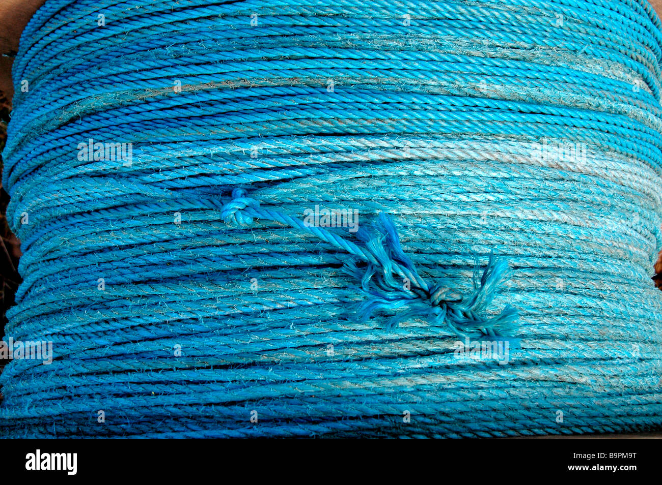 Coils of colorful rope in display at Home Depot, USA Stock Photo - Alamy
