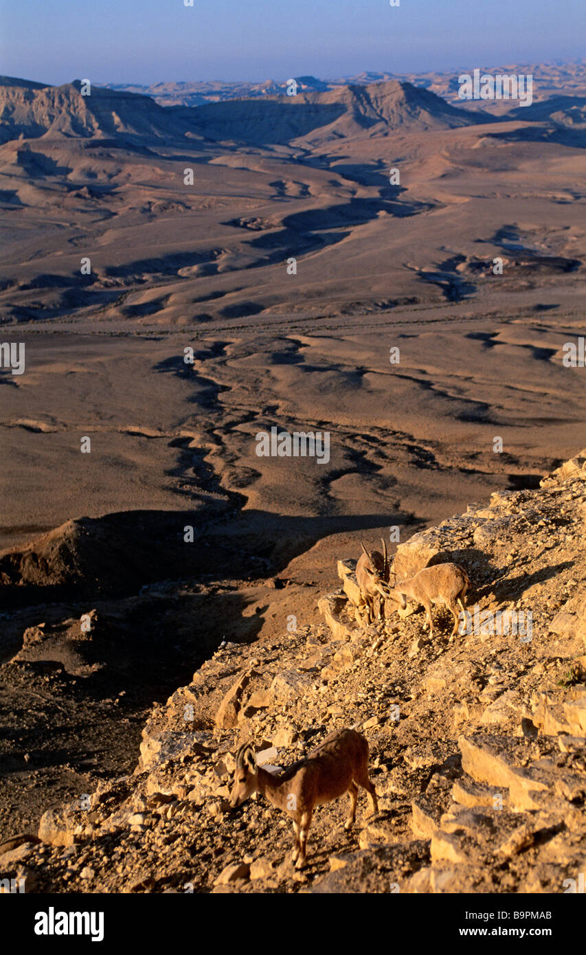 Mitzpe Ramon Israel, South district, Negev Desert, Mitzpe Ramon, Ramon nature ...