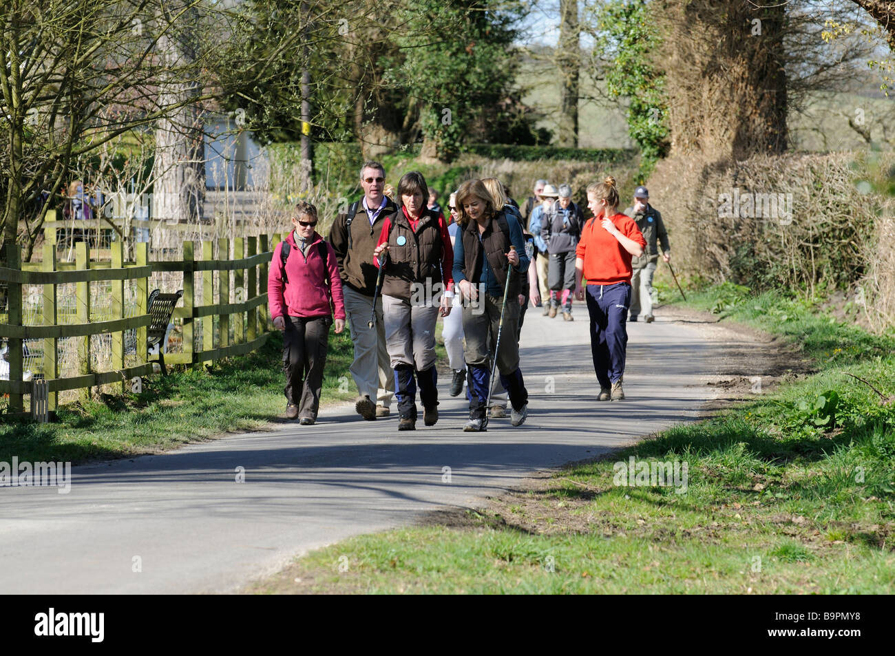 Group of walkers on a Dorset countryside lane at Shillingstone southern
