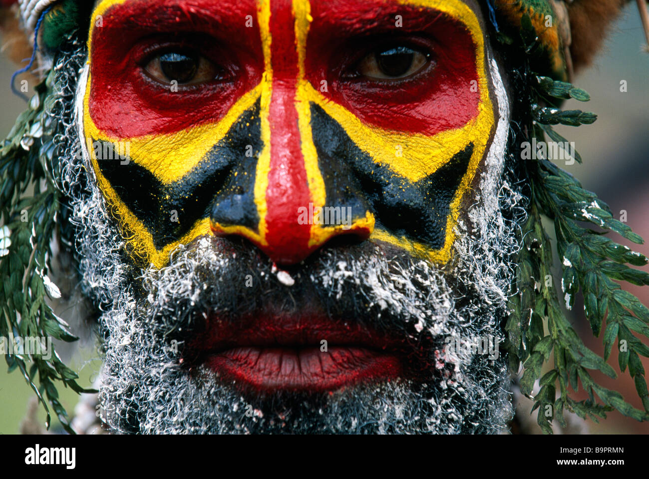Papua New Guinea, Western Highlands Province, Hagen, Hagen Show festival, Melpa tribe, warrior dressed for a sing-sing Stock Photo