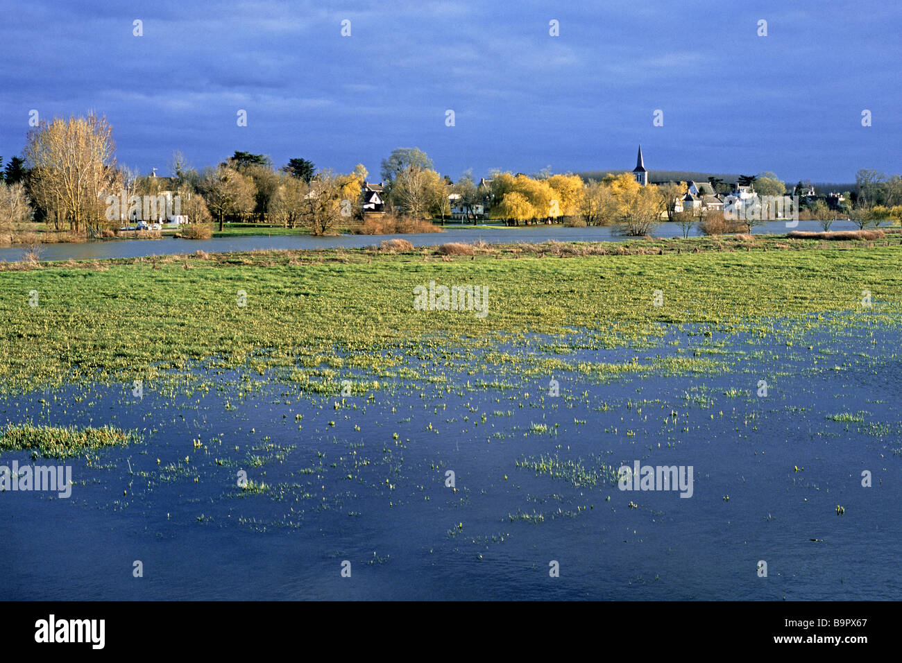 France, Maine et Loire, Briollay, Low Angevines Valleys classified RAMSAR site and Natura 2000 Stock Photo