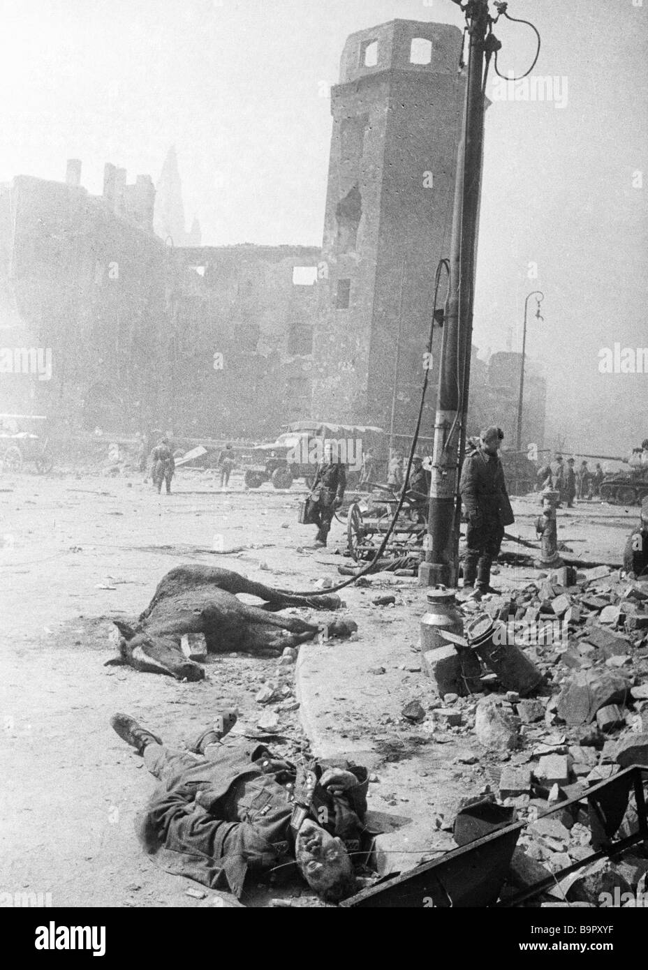 A killed Nazi soldier and a dead horse in destroyed Koenigsberg Stock ...