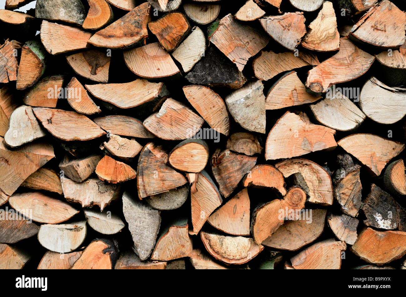 Cut logs Stock Photo