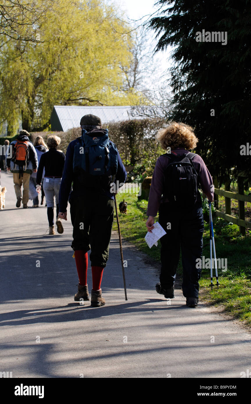 Group of walkers on a Dorset countryside lane at Shillingstone southern