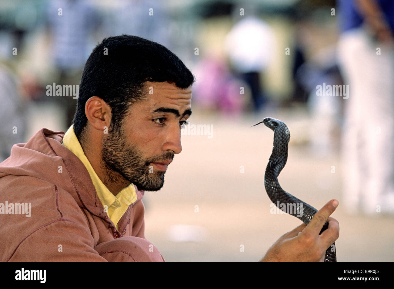 Morocco, Marrakech-Tensift-El Haouz region, Marrakesh, snake charmer with a cobra Stock Photo