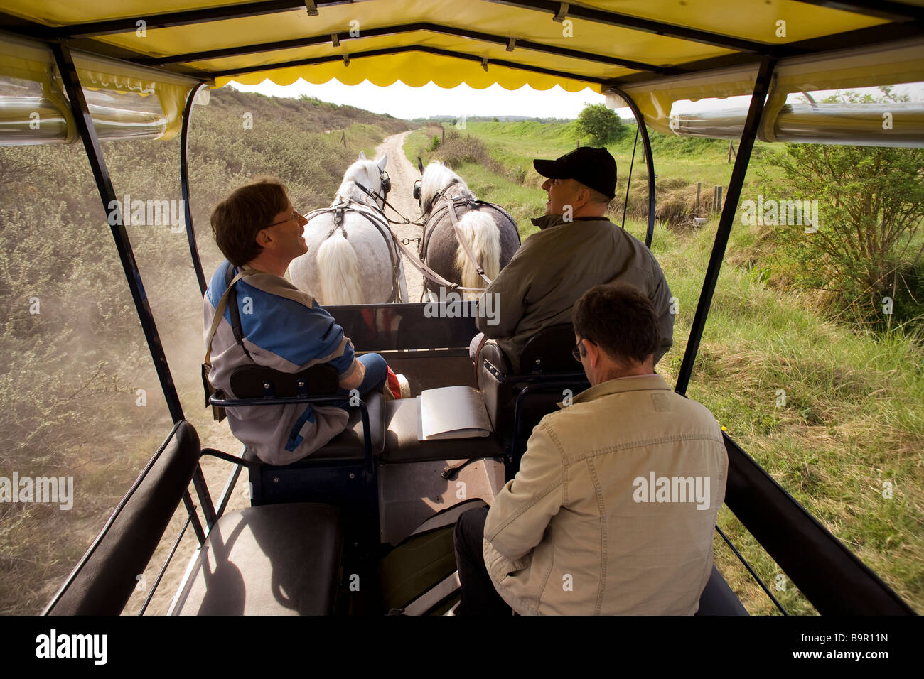 France, Somme, Picardie, Baie de Somme, calash and Boulonnais workhorses Stock Photo