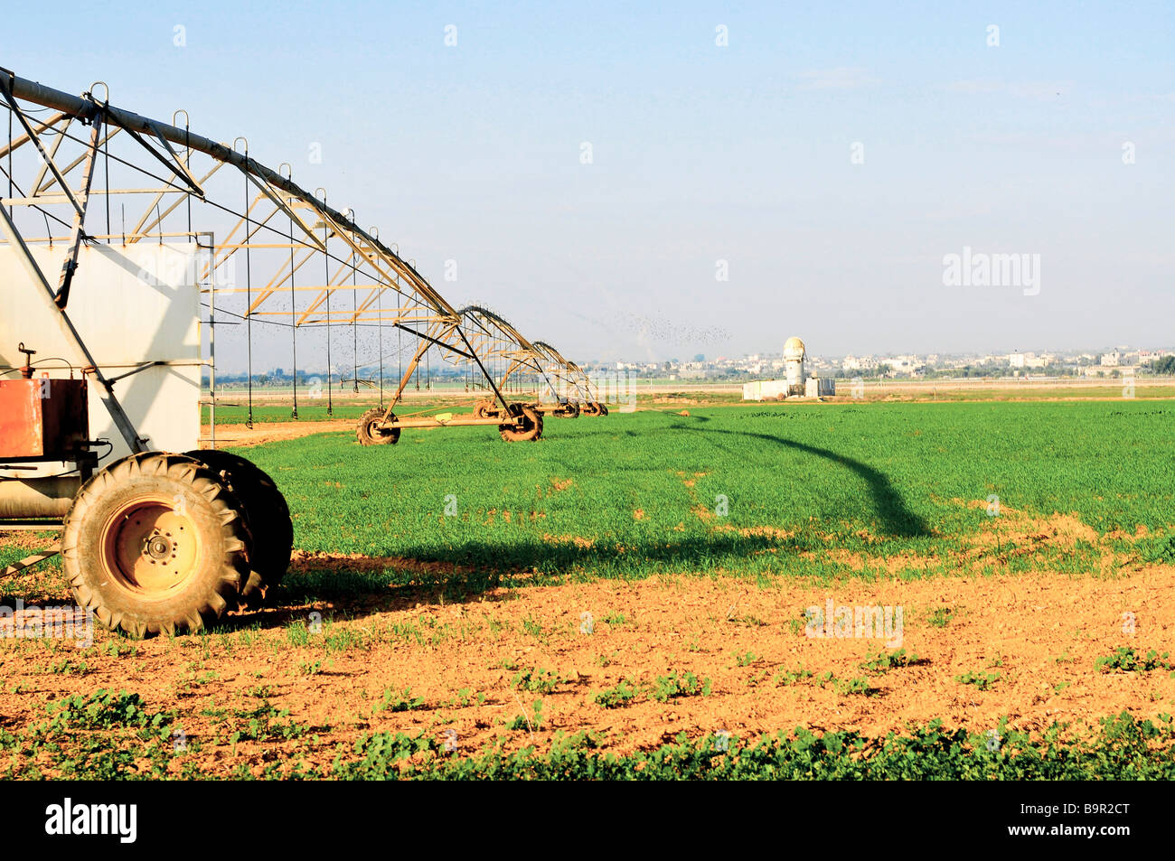 Israel, Negev  Wheat Field Gaza in the background A Kassam Missile can be seen launched on the left Stock Photo