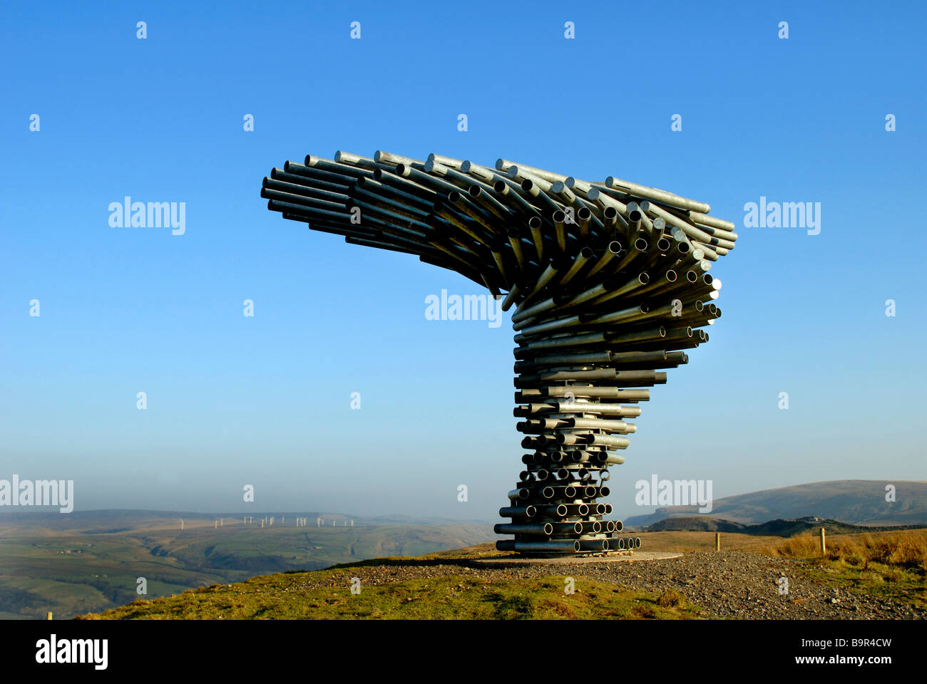 Singing ringing tree wind hi-res stock photography and images - Alamy