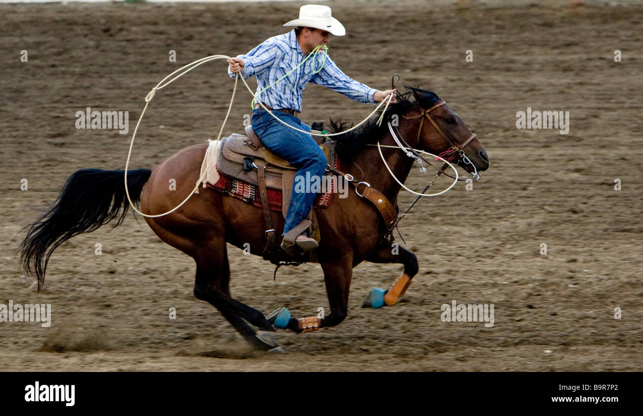 Roping competition hi-res stock photography and images - Alamy