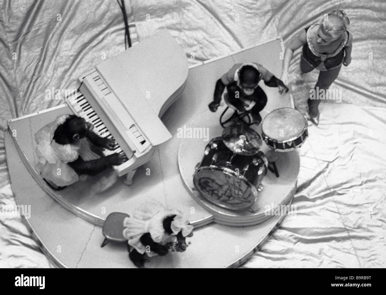 A monkey jazz band directed by tamer Vanda Ivanova performing in the Moscow circus Stock Photo