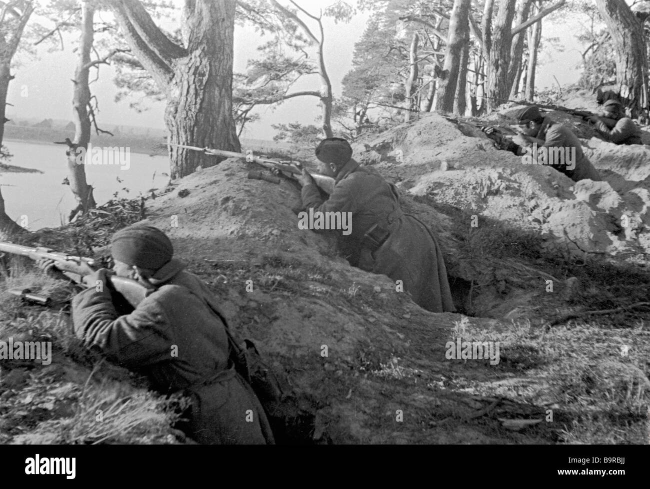 Militiamen fighting in trenches near Leningrad Stock Photo - Alamy