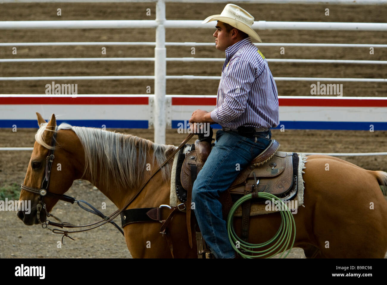 Stetson hat cowboy riding horse Cody Nite Rodeo Wyoming USA Stock Photo Alamy