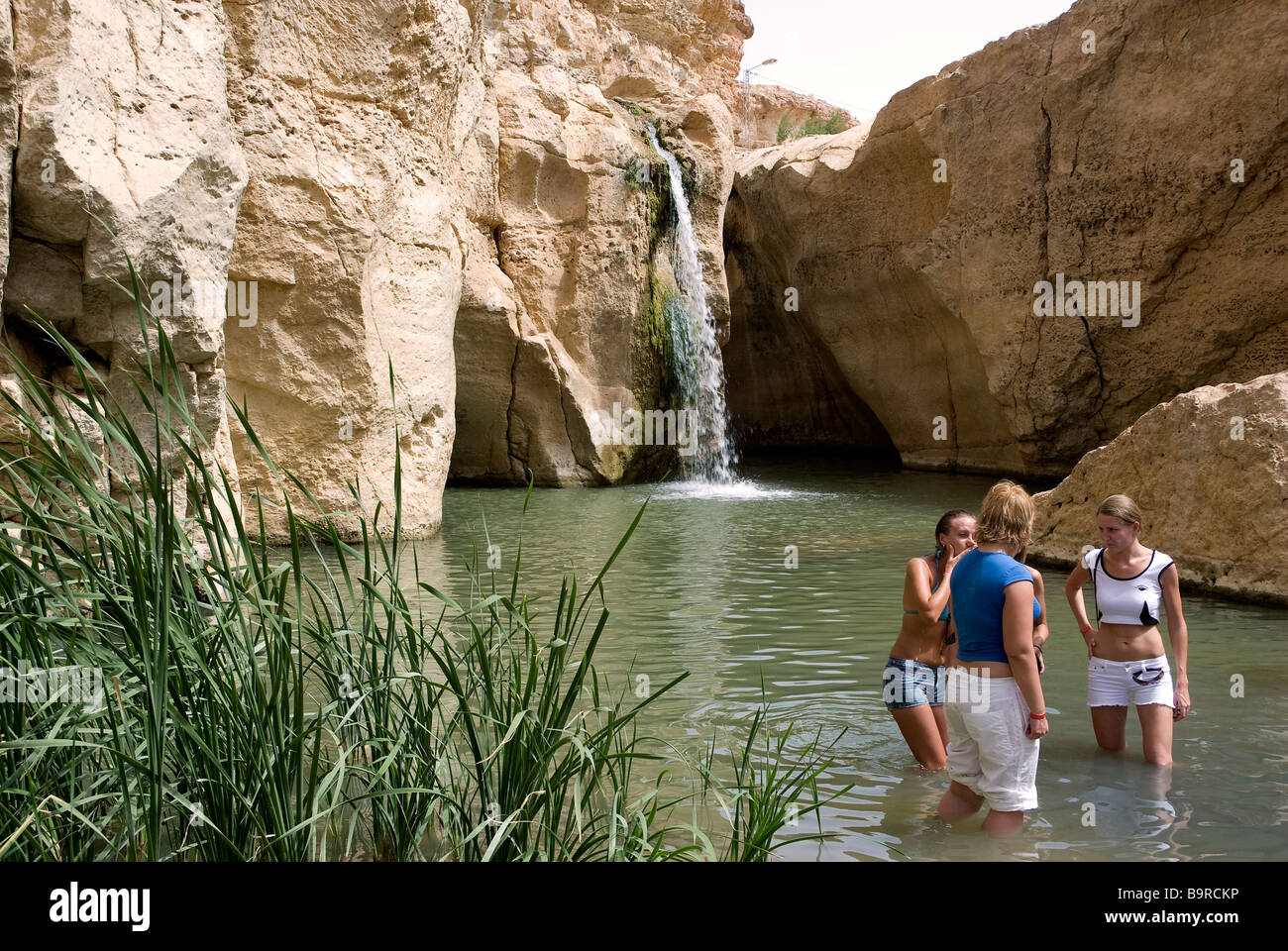 Tunisia, south region, mountain oasis of Tamerza Stock Photo