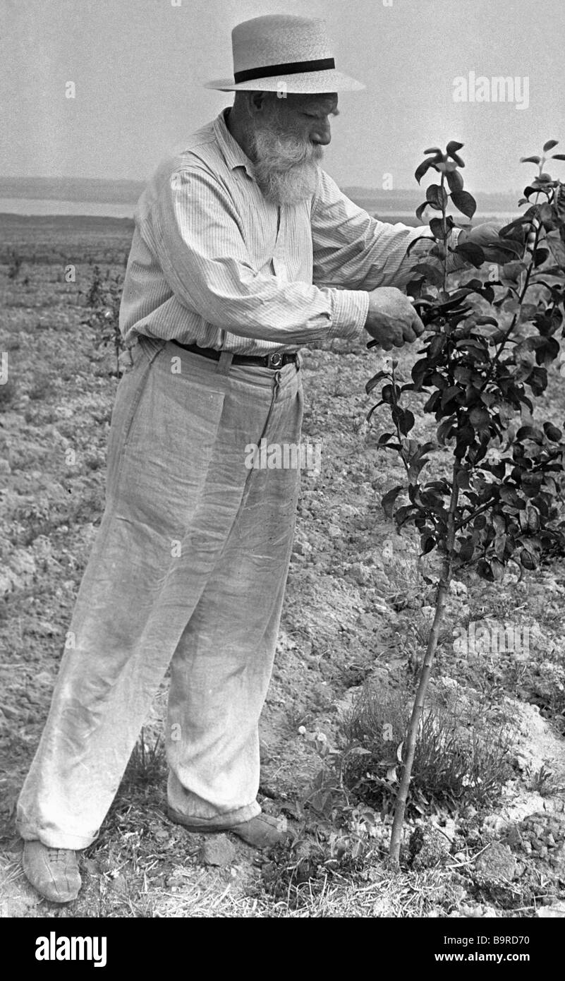 Vladimir Tolstoy Leo Tolstoy s grandson Stock Photo Alamy