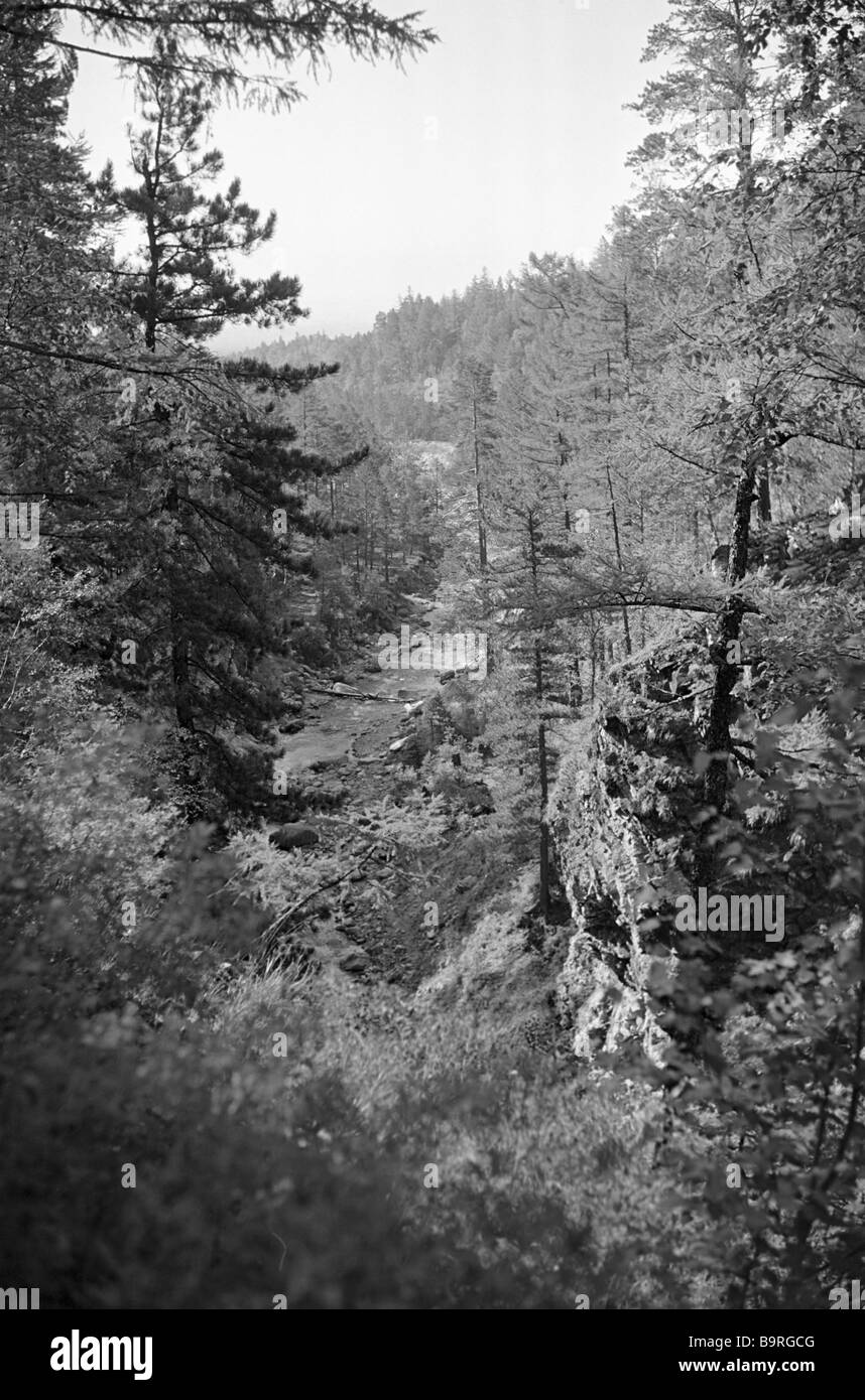 The Sokhaty Elk Creek in Siberia Stock Photo Alamy