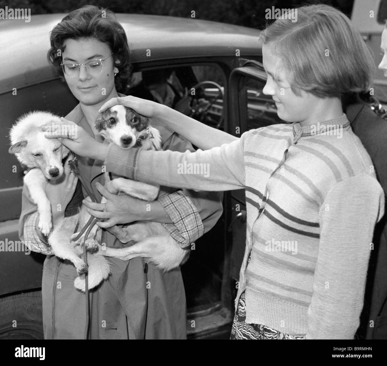 The dogs Strelka and Belka after a space flight Stock Photo - Alamy