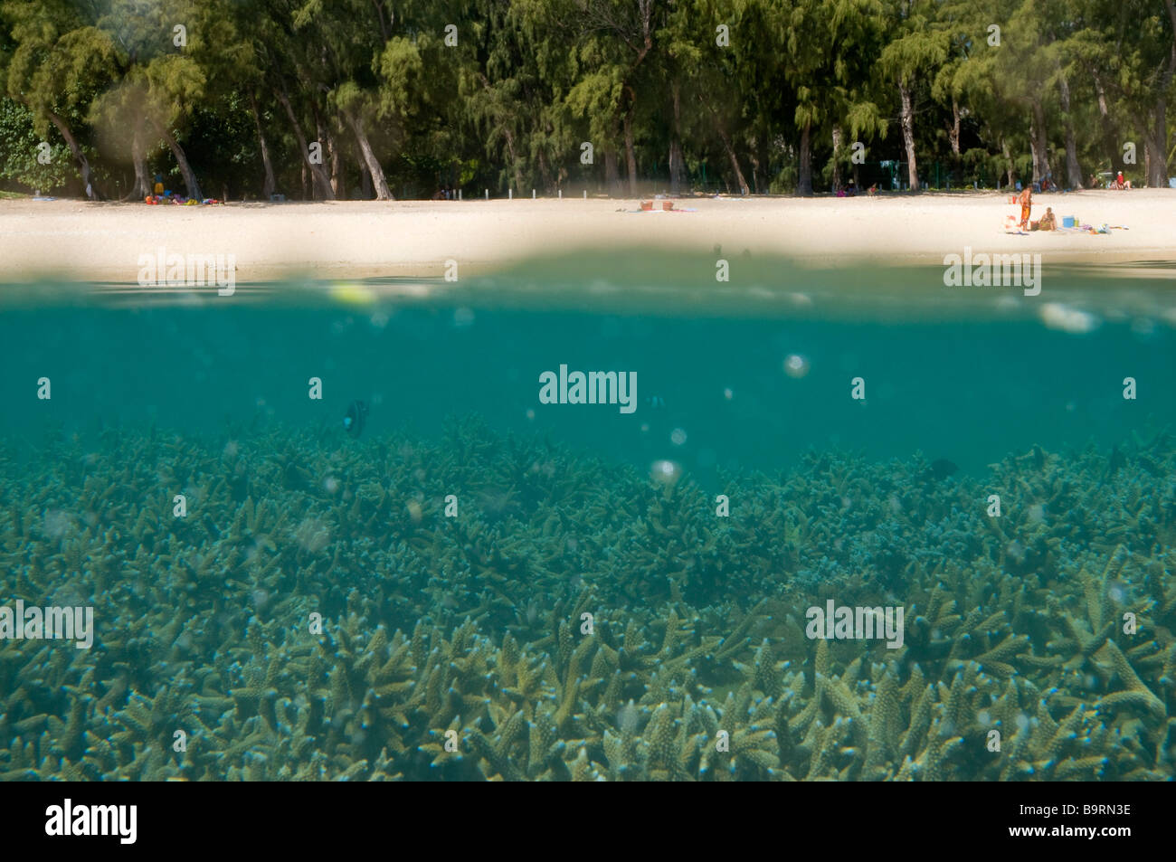 France, Reunion Island, Saint Gilles and l'Ermitage lagoon Stock Photo