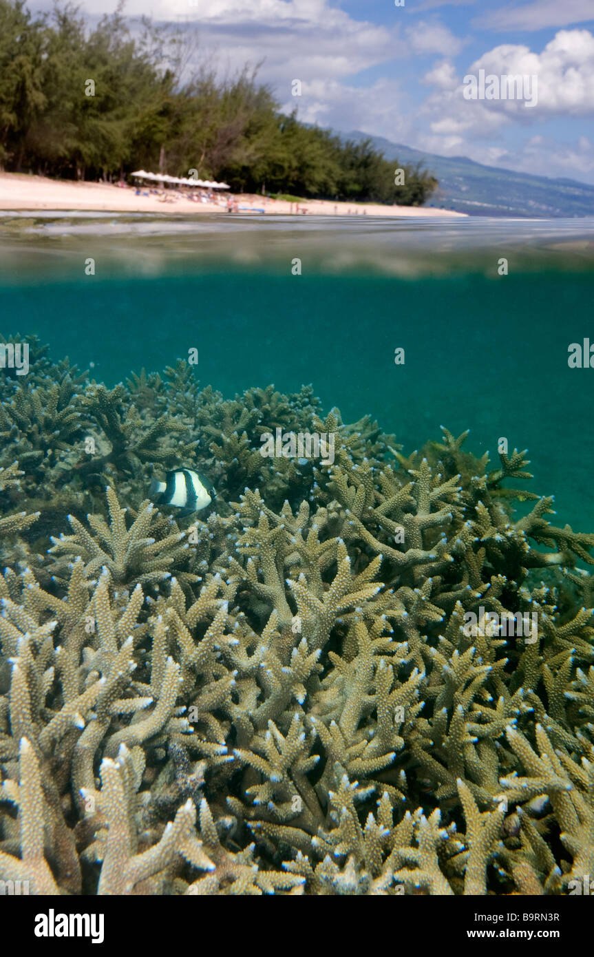 France, Reunion Island, Saint Gilles and l'Ermitage lagoon Stock Photo